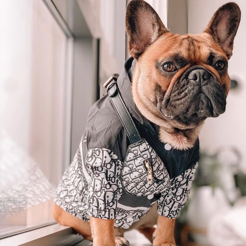 Christian Dogior Windbreaker