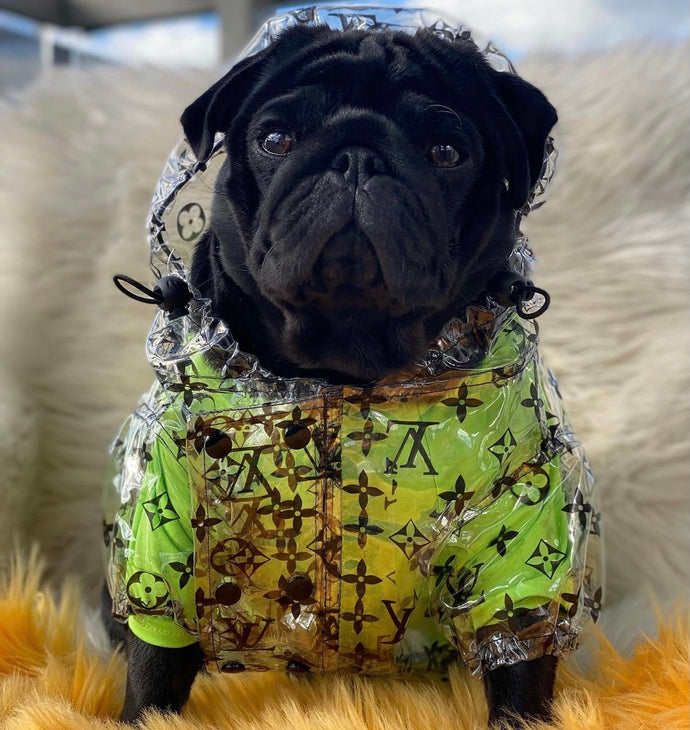 PawV Raincoat