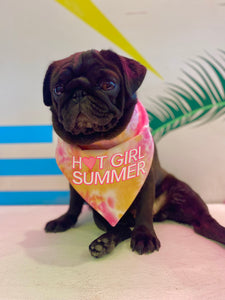 Hot Girl Summer T-Shirt Bandana